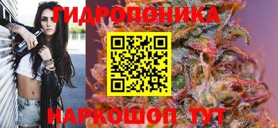 ешки Дубна