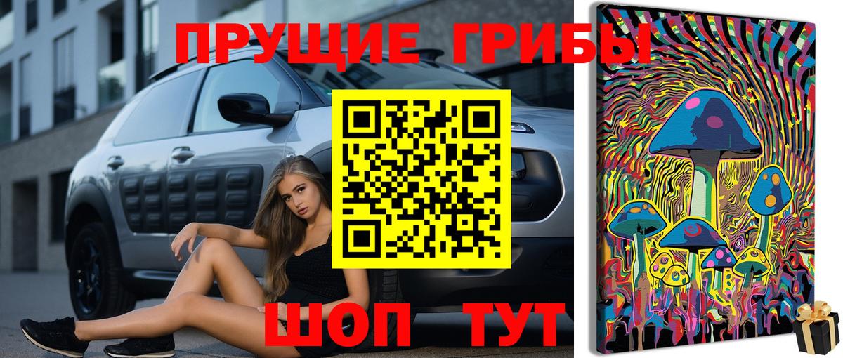 Галлюциногенные грибы GOLDEN TEACHER Можайск